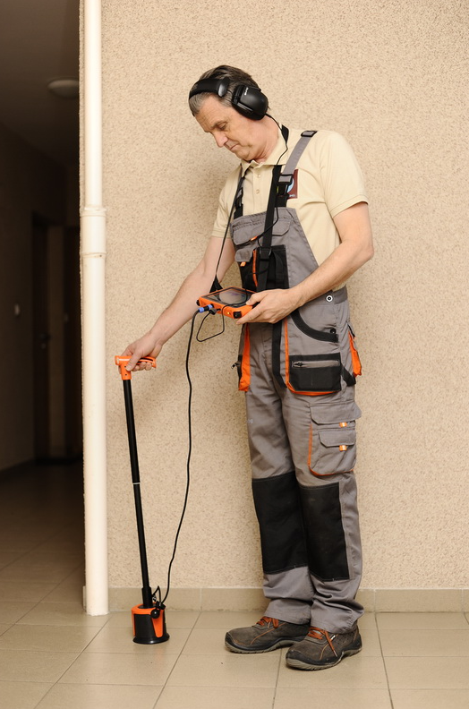 Water leakage detector site