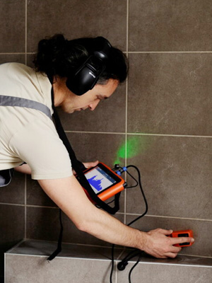 Pipe leak detector case