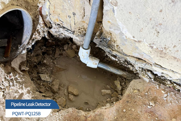 PQWT-PQ125B Leak Locator